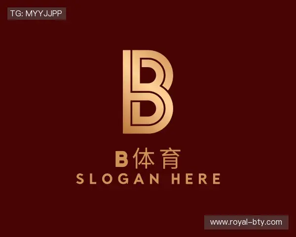 介绍b体育官网登录